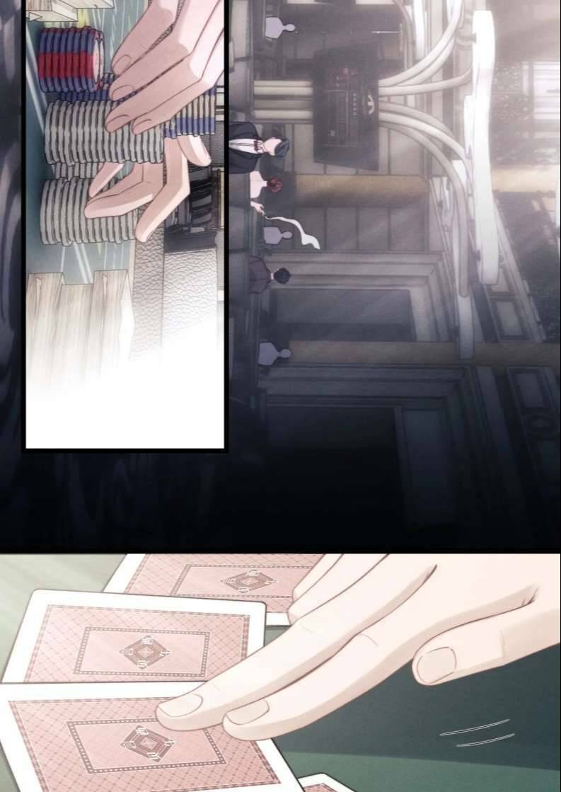 Chấp Sự Thỏ Cụp Tai Chap 24 - Next Chap 25