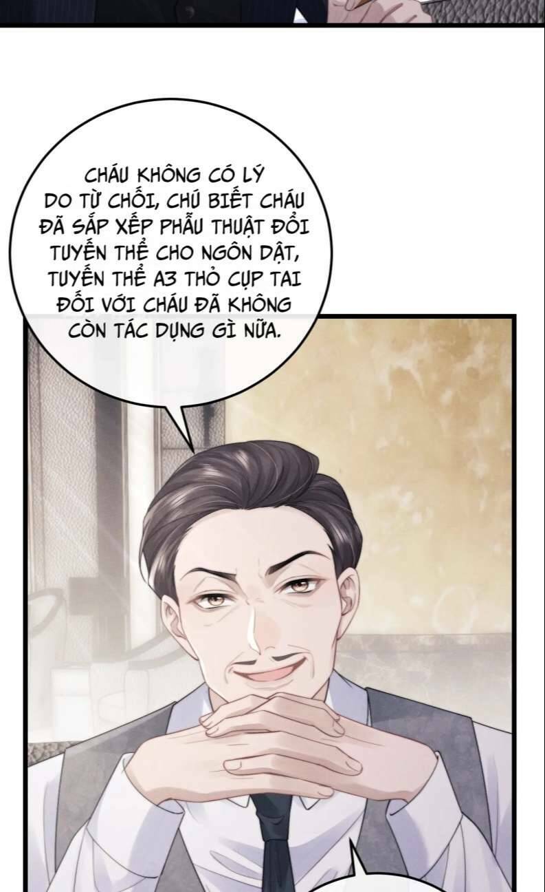 Chấp Sự Thỏ Cụp Tai Chap 24 - Next Chap 25