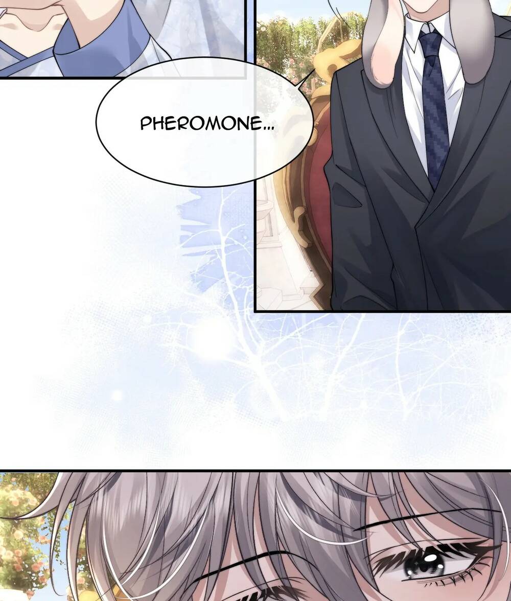 Chấp Sự Thỏ Cụp Tai Chap 66 - Next Chap 67