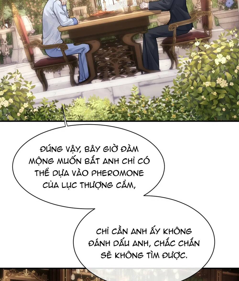 Chấp Sự Thỏ Cụp Tai Chap 66 - Next Chap 67