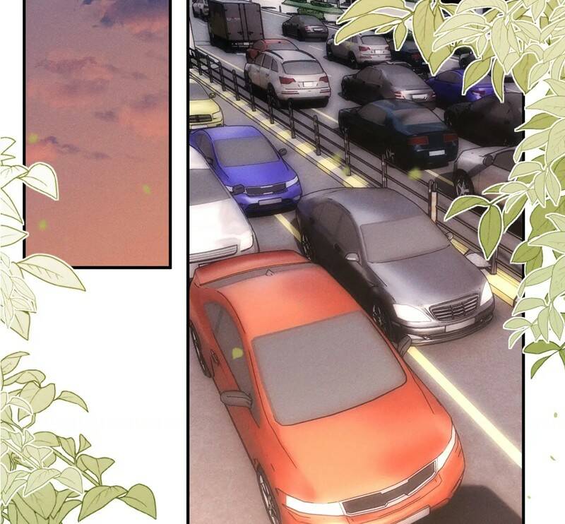 Chấp Sự Thỏ Cụp Tai Chap 79 - Next Chap 80