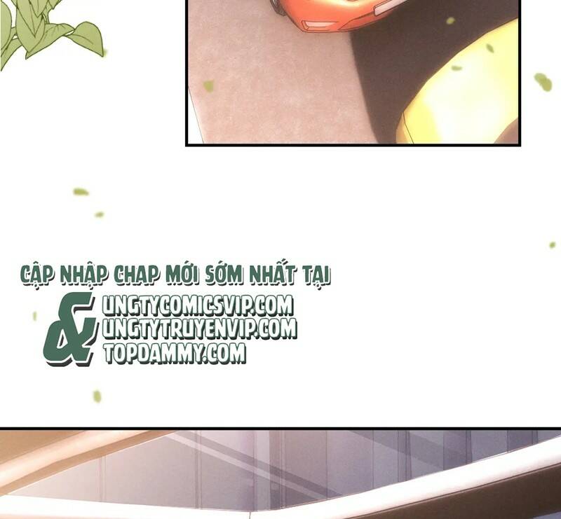 Chấp Sự Thỏ Cụp Tai Chap 79 - Next Chap 80