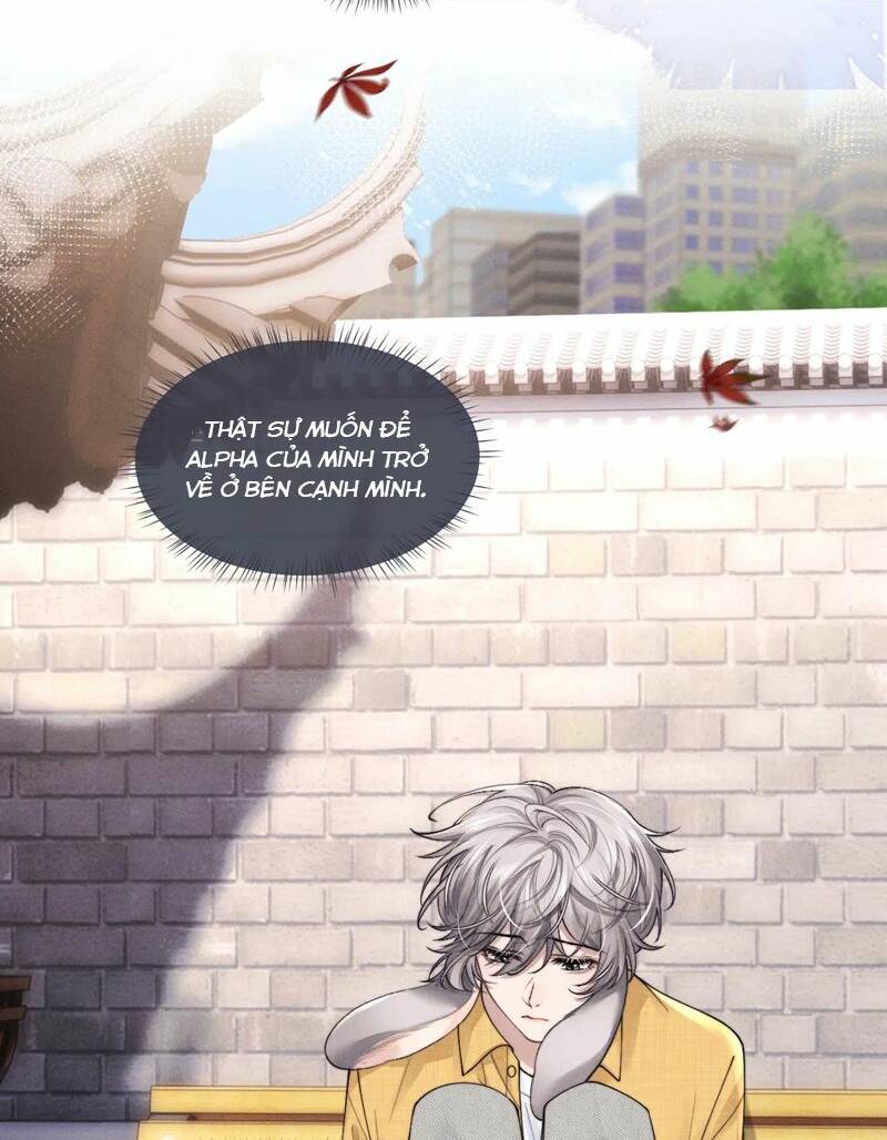 Chấp Sự Thỏ Cụp Tai Chap 85 - Next Chap 86
