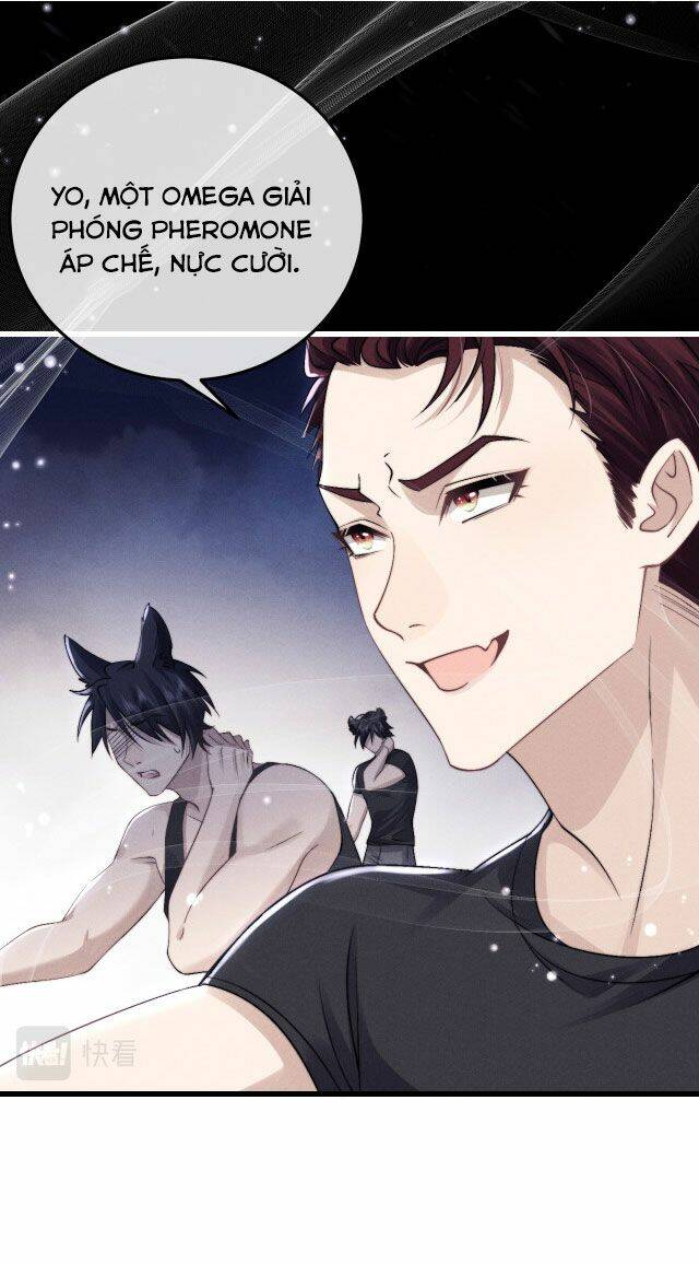 Chấp Sự Thỏ Cụp Tai Chap 9 - Next Chap 10