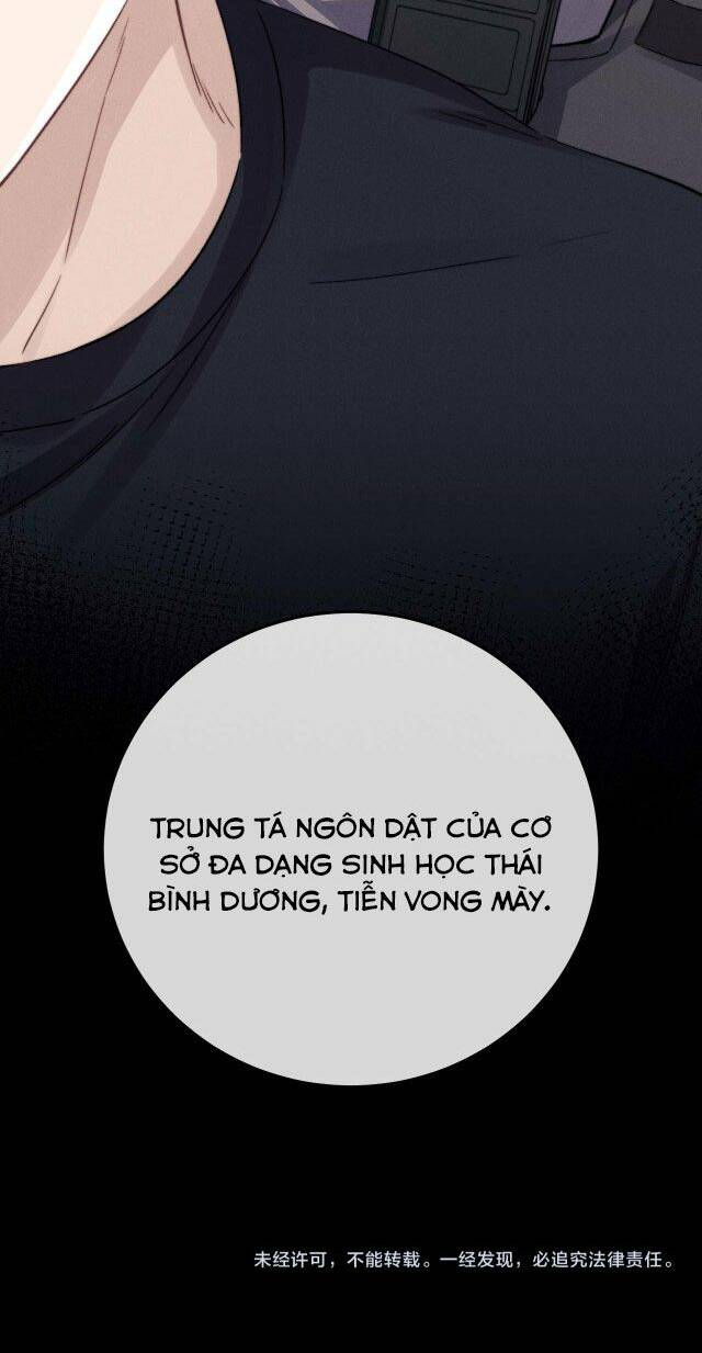 Chấp Sự Thỏ Cụp Tai Chap 9 - Next Chap 10