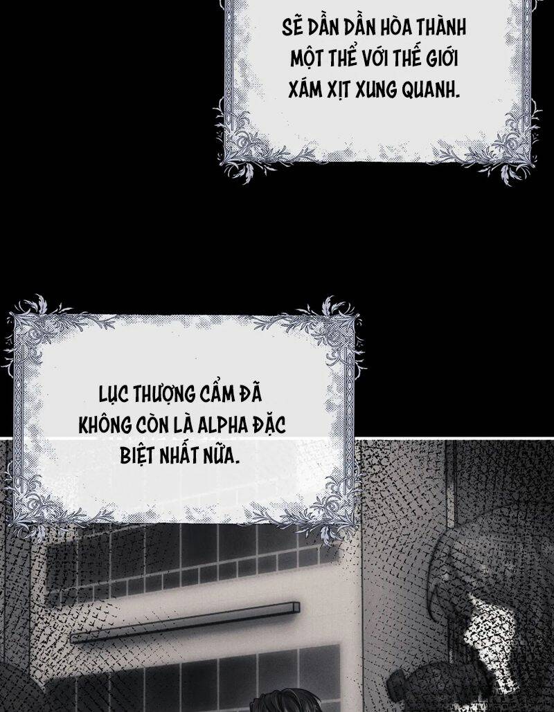 Chấp Sự Thỏ Cụp Tai Chap 90 - Next Chap 91