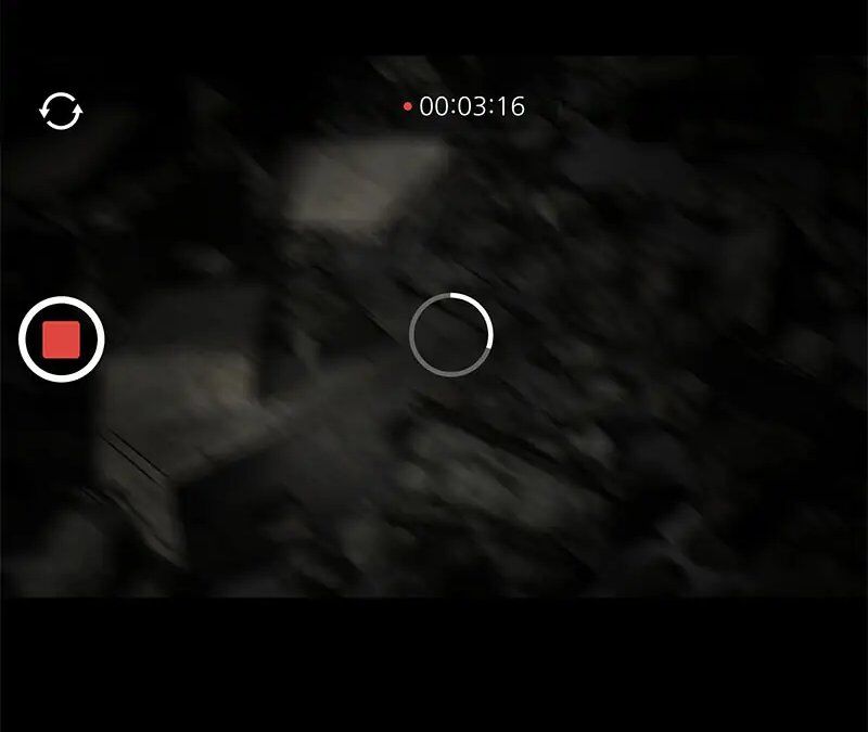 Chasing Tails Chap 1 - Next Chap 2