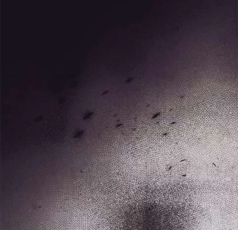 Chỉ Cần Một Người Chồng Là Đủ Chap 92 - Next Chap 93