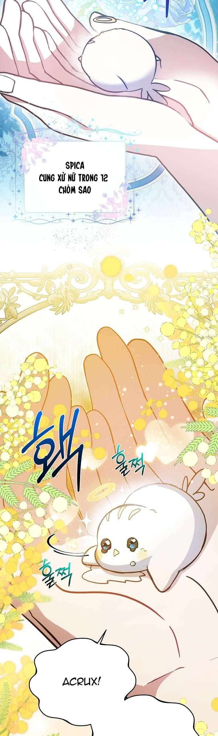Chị Gái Tôi Là Nhân Vật Chính Chap 13 - Next Chap 14