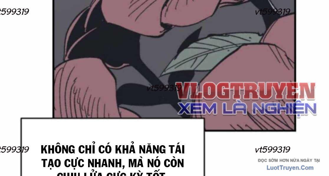 Chiến Binh Cariel Chap 16 - Next Chap 17