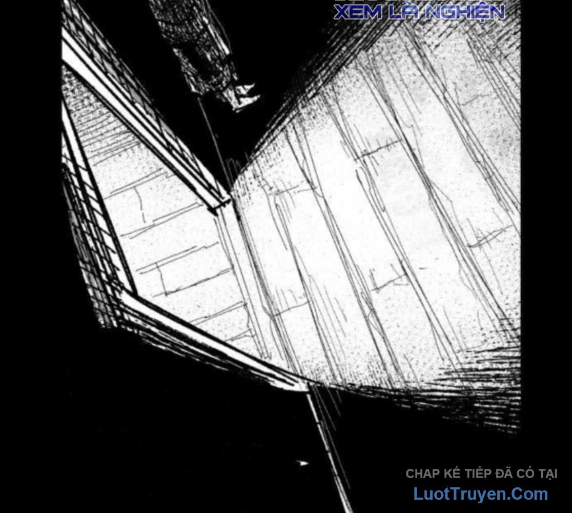 Chiến Binh Cariel Chap 17 - Next Chap 18