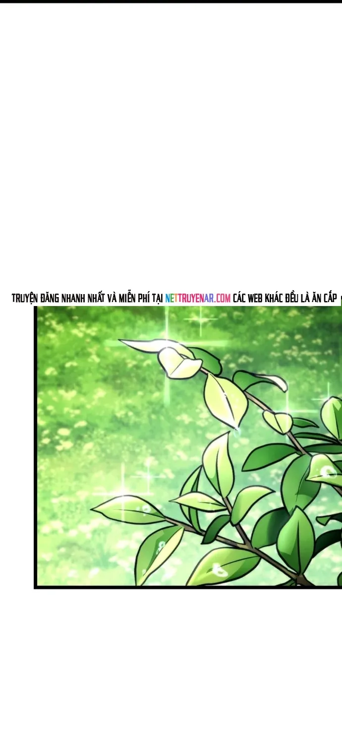 Chiến Binh Hồi Quy Chap 126 - Next Chap 127