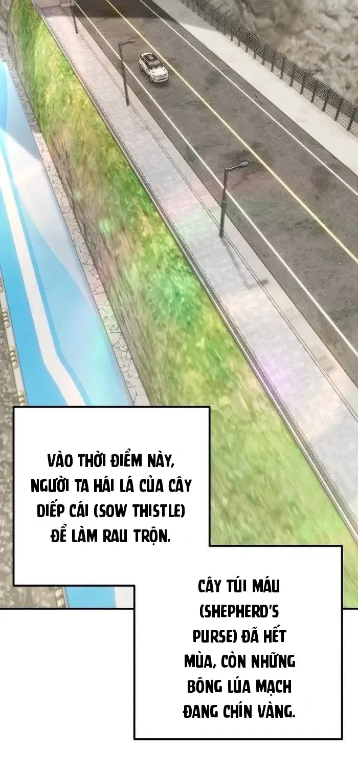 Chiến Dịch Rung Động Trái Tim Chap 29 - Next Chap 30