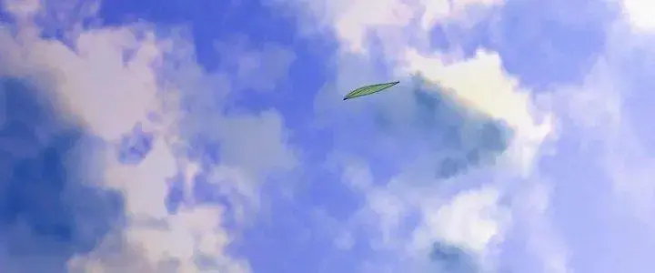 Chiến Hạm Của Ta Có Thể Thăng Cấp Chap 25 - Next Chap 26