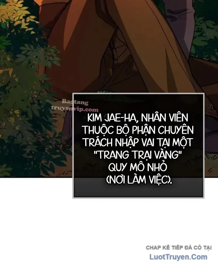 Chiến Lược Livestream Ẩn Giấu Của Kẻ Hồi Quy Chap 8 - Next Chap 9