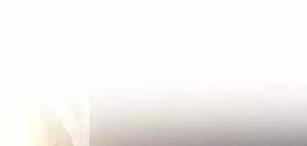 Chính Trị Gia Nhìn Thấu Vận Mệnh Chap 12 - Next Chap 13