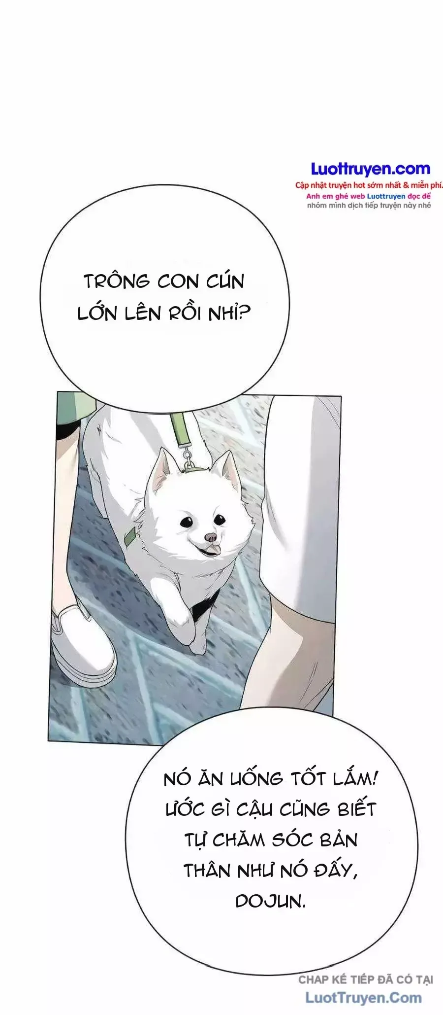 Chính Trị Gia Nhìn Thấu Vận Mệnh Chap 27 - Next Chap 28
