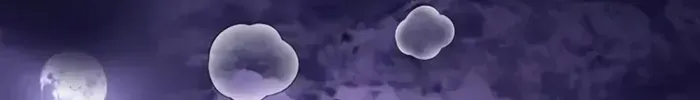 Chòm Sao Là Đệ Tử Của Tôi Chap 137 - Next Chap 138