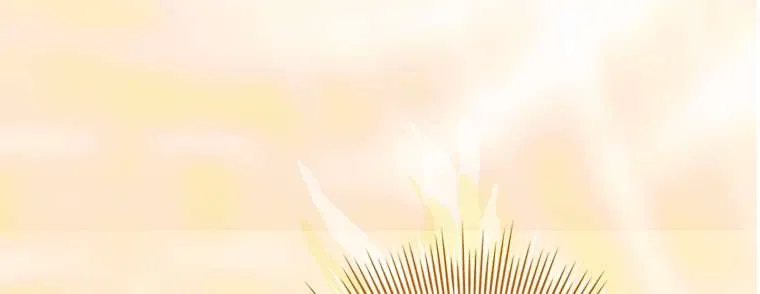 Chồng Ơi, Tại Sao Chúng Ta Không Thể Ly Hôn? Chap 86 - Next Chap 87