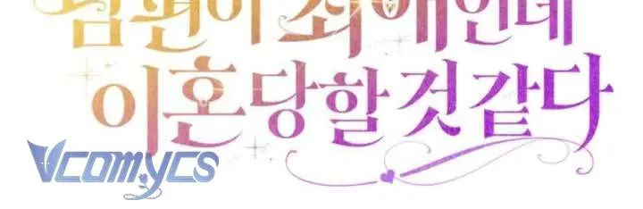 Chồng Tôi Là Bias Số Một, Nhưng Có Vẻ Chúng Tôi Sắp Ly Hôn Chap 29 - Next Chap 30