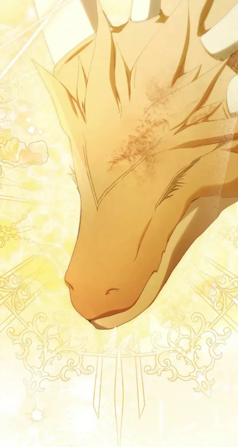 Chồng Tôi Là Bias Số Một, Nhưng Có Vẻ Chúng Tôi Sắp Ly Hôn Chap 32 - Next Chap 33