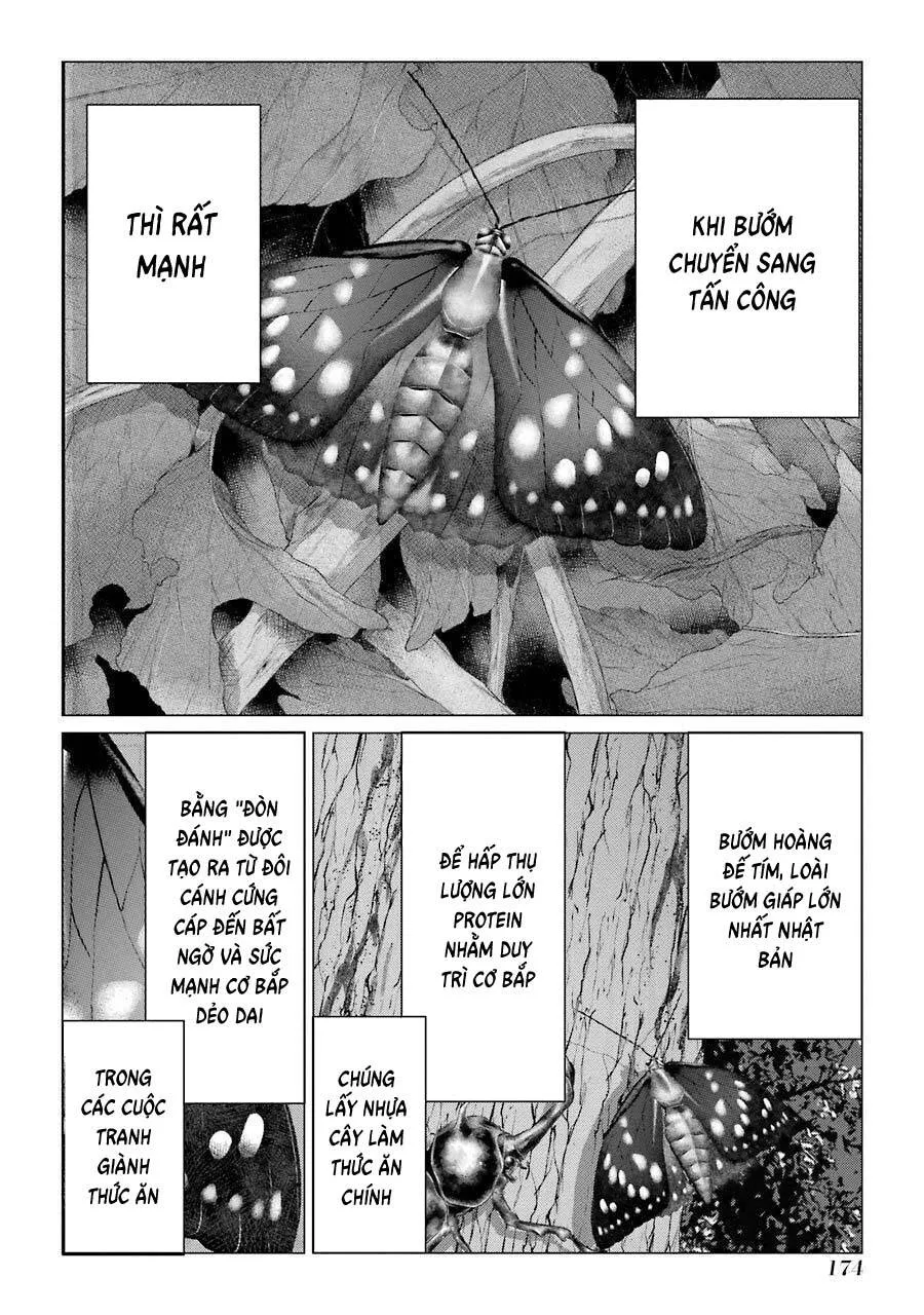 Choubu No Shinobi Chap 14 - Next Chap 15