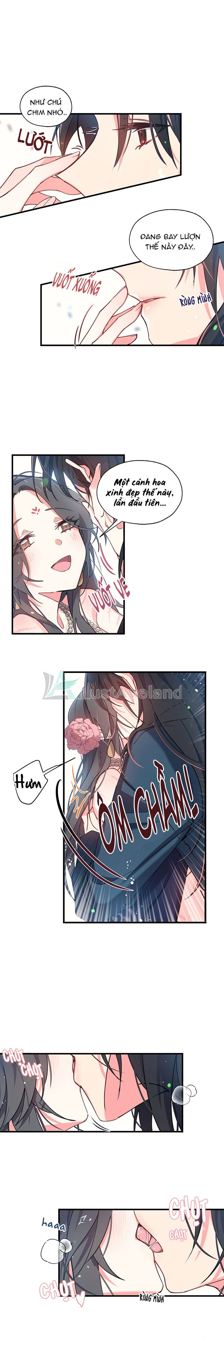 Chú Chim Nhỏ Của Yêu Tinh Chap 5 - Next Chap 6