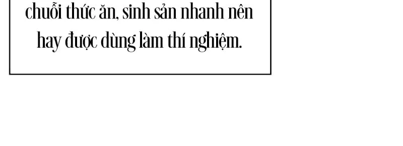 Chủ Tịch Dược Phẩm Là Tuyệt Độc Ma Tôn Chap 3 - Next Chap 4