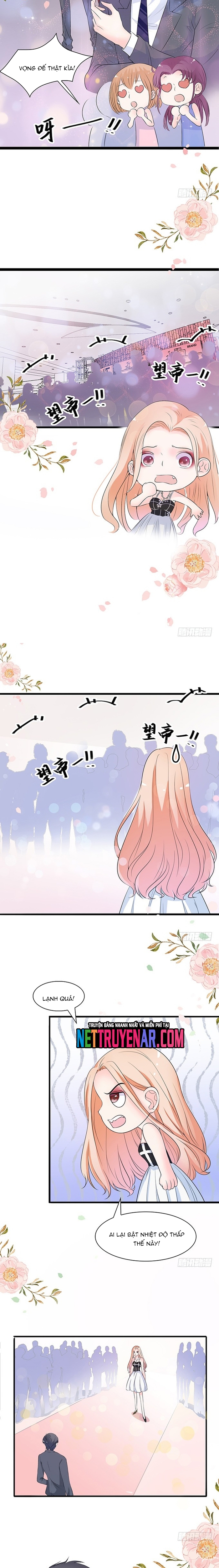 Chu Tiên Sinh, Ép Cưới Phạm Pháp Đó Chap 36 - Next Chap 37