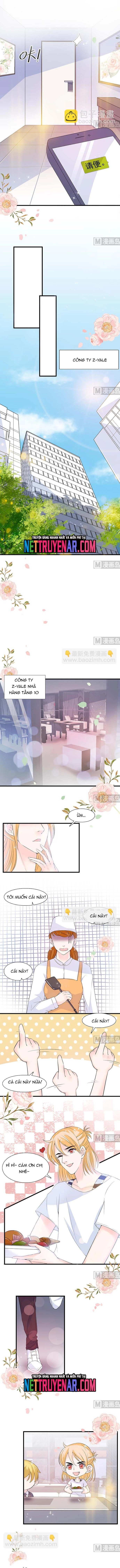 Chu Tiên Sinh, Ép Cưới Phạm Pháp Đó Chap 52 - Next Chap 53