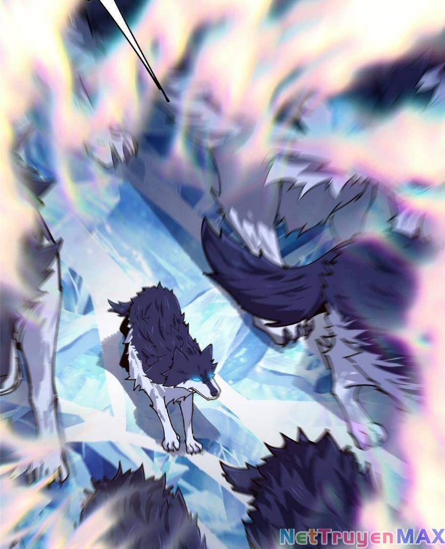 Chưởng Môn Khiêm Tốn Chút Chap 231 - Next Chap 232