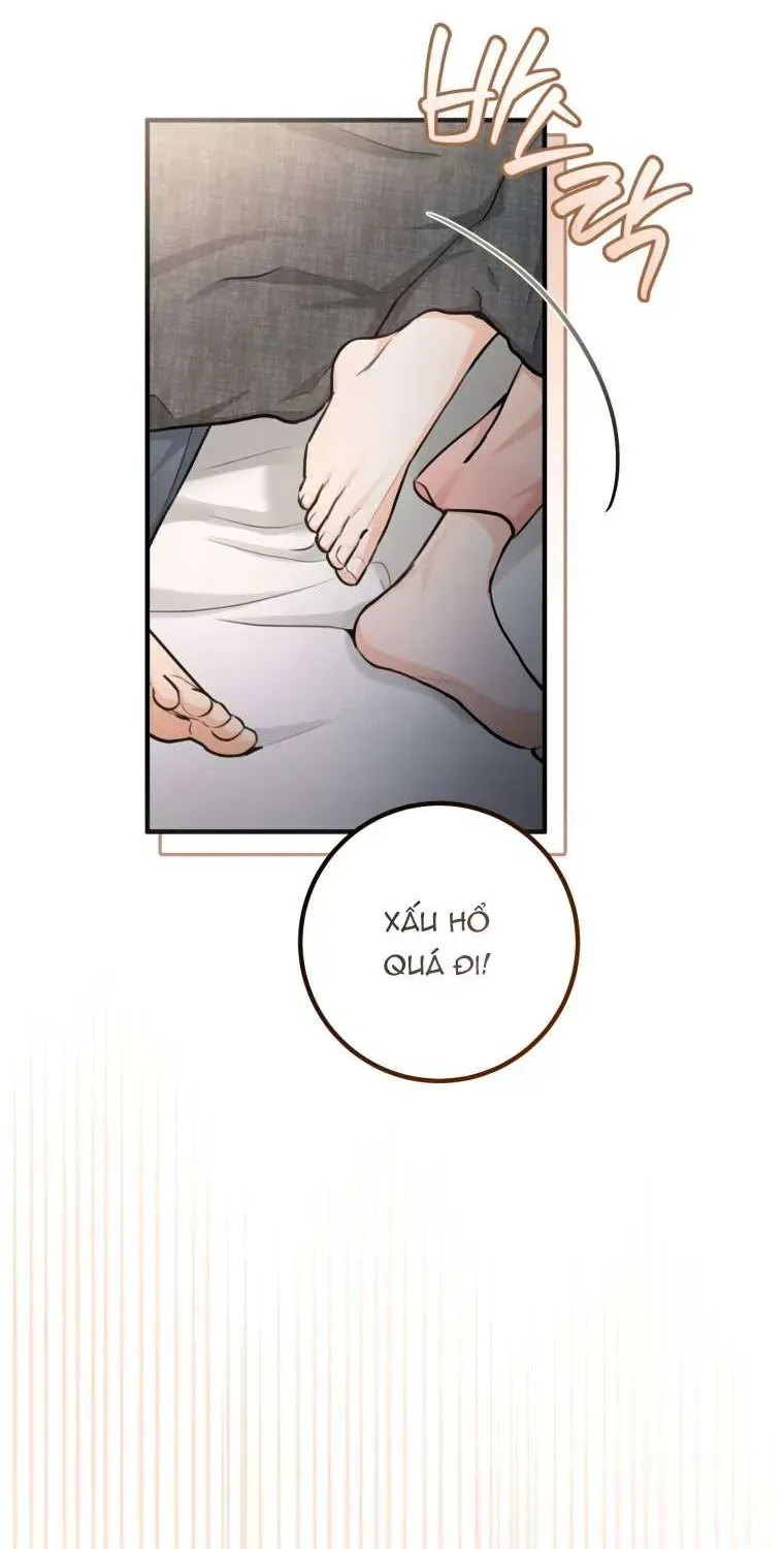 Chuyện Kết Hôn Chap 61 - Next Chap 62