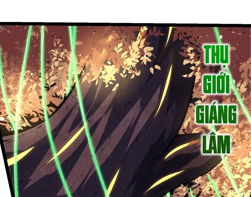 Chuyển Sinh Thành Liễu Đột Biến Chap 255 - Next Chap 256