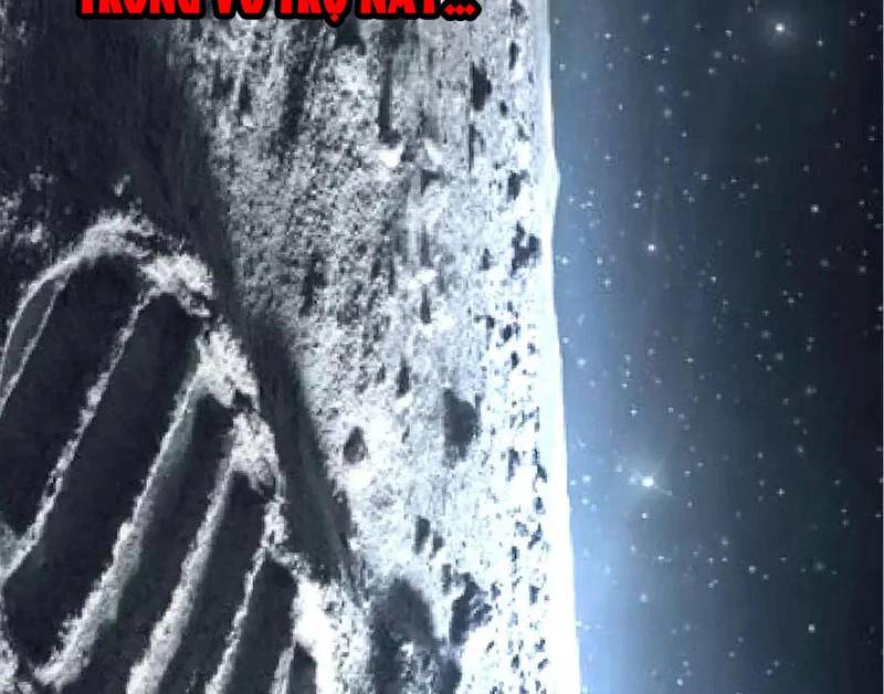 Chuyển Sinh Thành Liễu Đột Biến Chap 256 - Next Chap 257