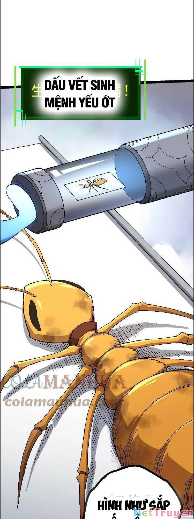 Chuyển Sinh Thành Liễu Đột Biến Chap 36 - Next Chap 37