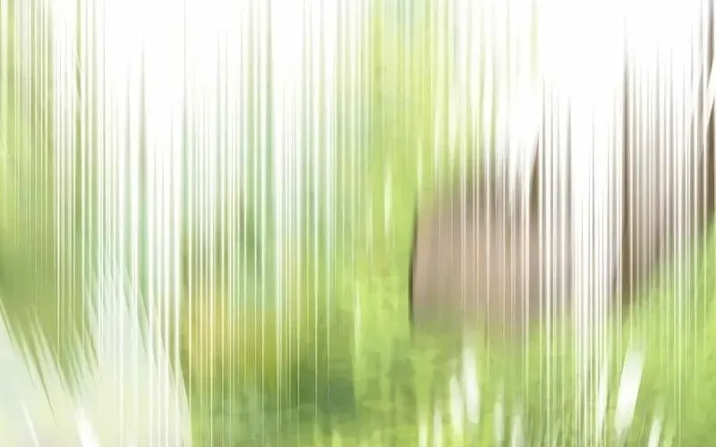 Chuyển Sinh Thành Thiên Tài Xuất Chúng Của Danh Môn Thế Gia Chap 61 - Next Chap 62