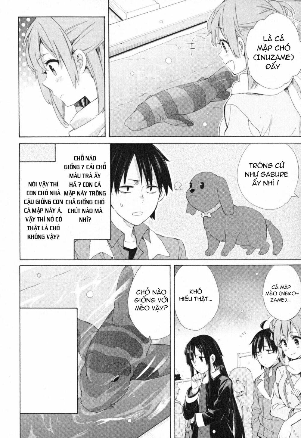 Chuyện Tình Thanh Xuân Bi Hài Của Tôi Quả Nhiên Là Sai Lầm Chap 57 - Next Chap 58