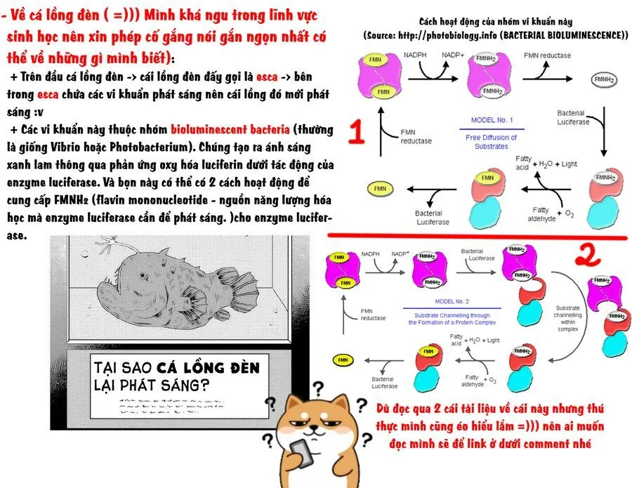 Cô Bạn Trầm Tính Bàn Bên Hóa Ra Lại Là Ca Sĩ Mà Tôi Mến Mộ ~Bài Hát Này Của Tôi, Hãy Hát Lên Đi Nào!~ Chap 4 - Next Chap 5