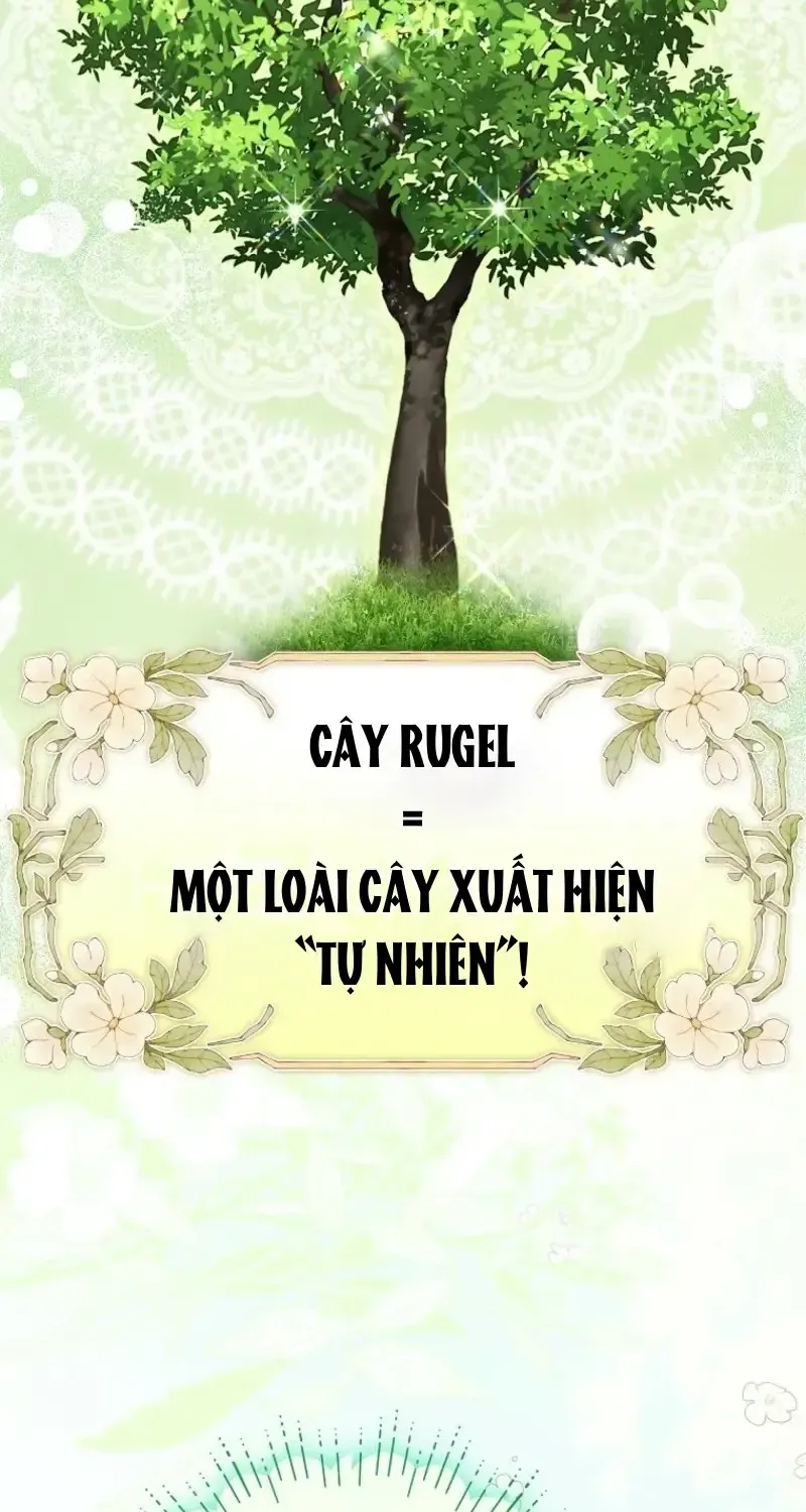 Cô Con Dâu Nuôi Muốn Đứt Tình Đoạn Nghĩa Chap 100 - Next Chap 101