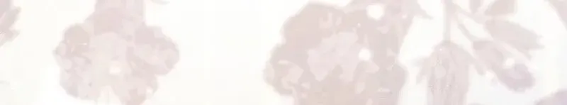 Cô Con Dâu Nuôi Muốn Đứt Tình Đoạn Nghĩa Chap 92 - Next Chap 93