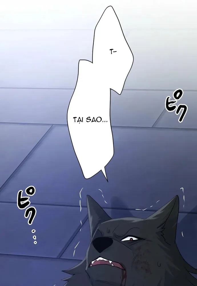 Cô Dâu Của Sói Trắng Chap 112.1 - Next Chap 113.1