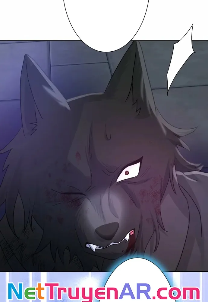 Cô Dâu Của Sói Trắng Chap 112.1 - Next Chap 113.1