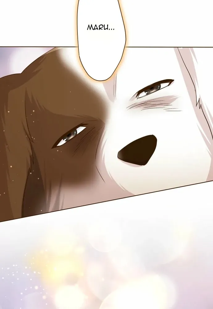 Cô Dâu Của Sói Trắng Chap 120.2 - Next Chap 121.2