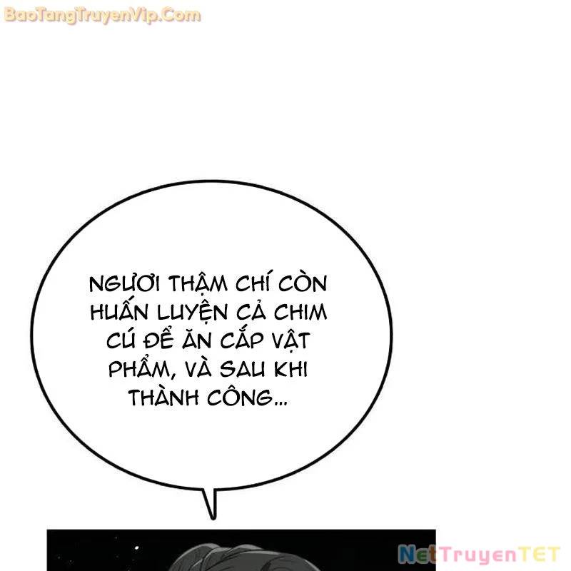 Có Lẽ Là Vô Địch Chap 15 - Next Chap 16