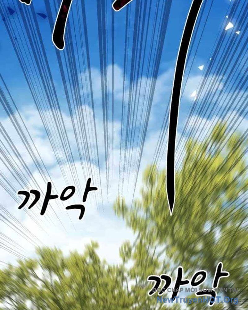 Có Lẽ Là Vô Địch Chap 41 - Next Chap 42