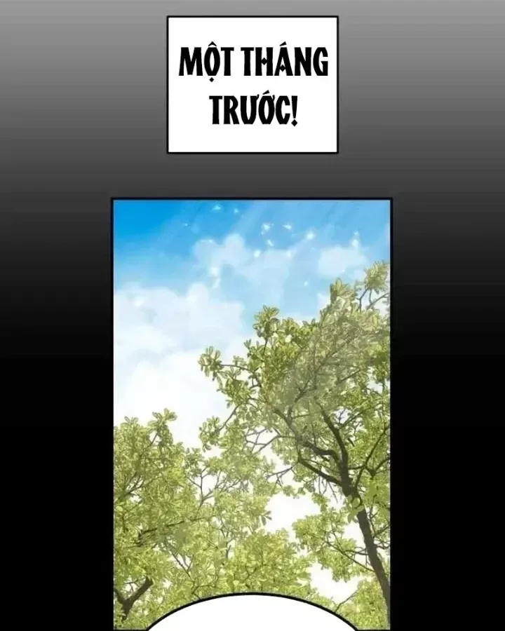 Có Lẽ Là Vô Địch Chap 52 - Next Chap 53
