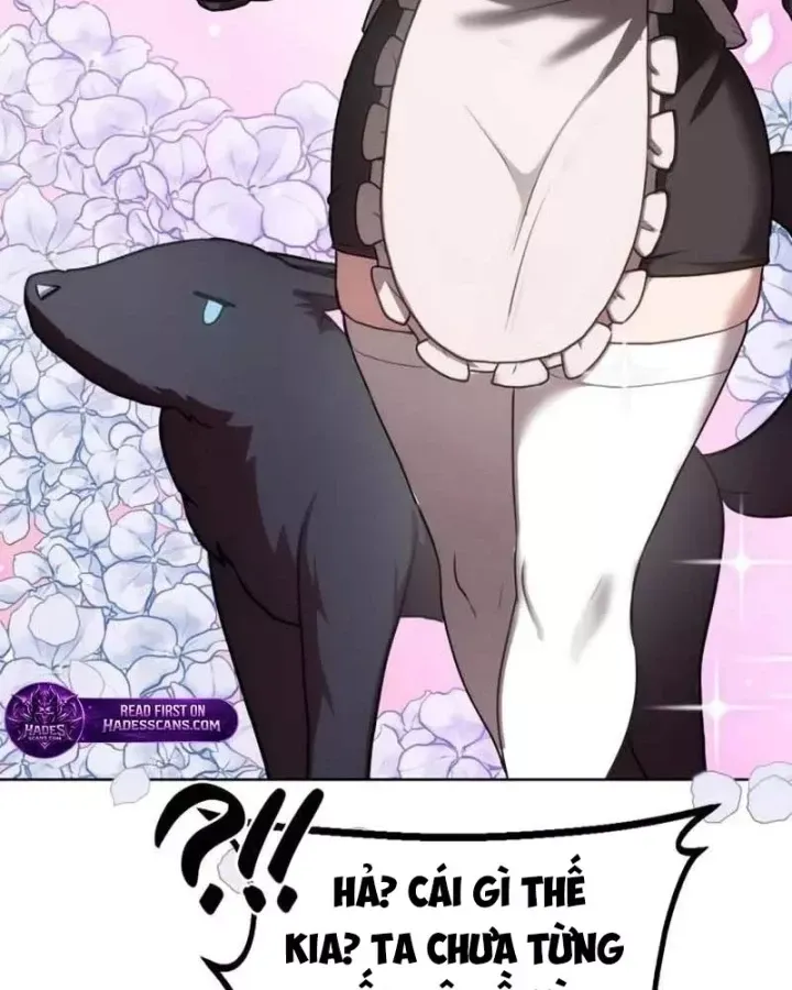 Có Lẽ Là Vô Địch Chap 58 - Next Chap 59