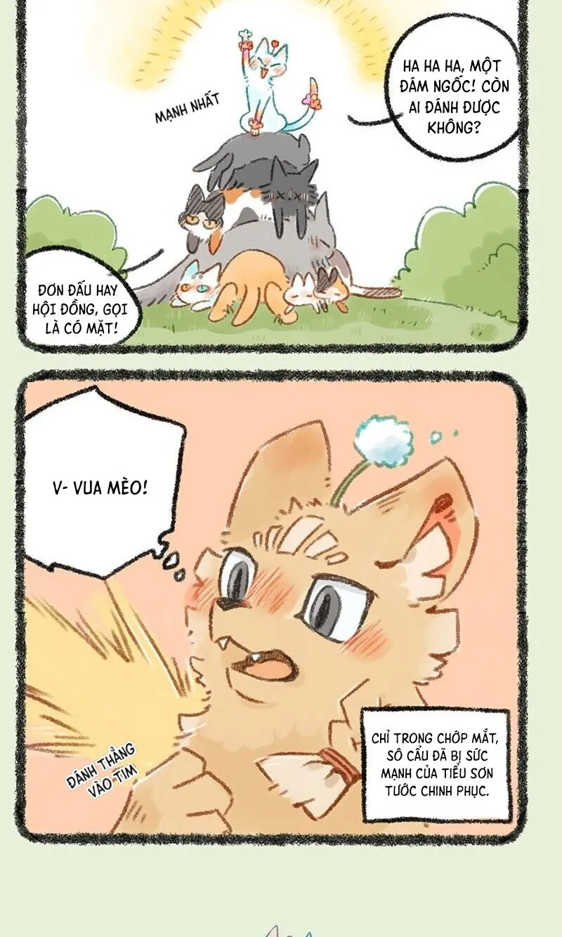 Có Linh Thú Chap 273 - Next Chap 274