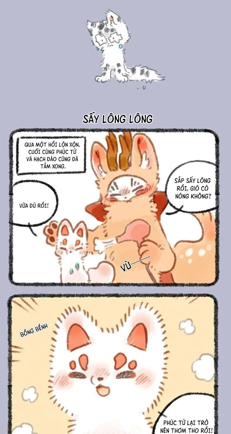Có Linh Thú Chap 298 - Next Chap 299