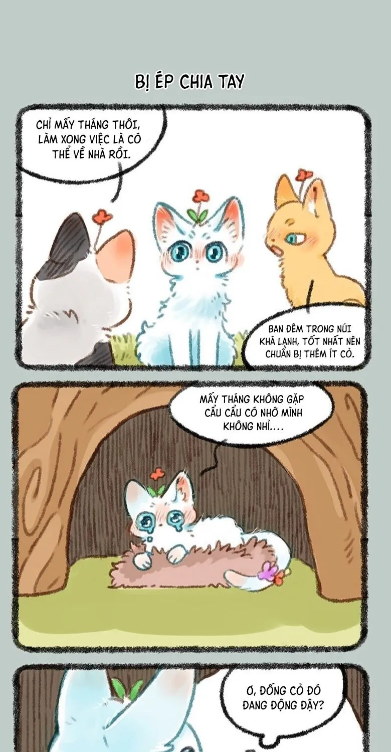 Có Linh Thú Chap 439 - Next Chap 440